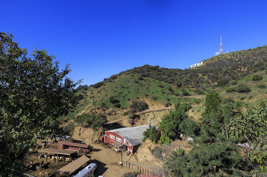 Guide to the Best Hiking Trails in Los Angeles